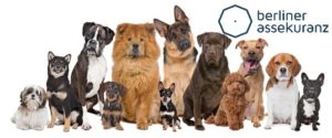 Tierhalterhaftpflicht auf der Webseite des unabhängigen Versicherungsmaklers Berliner Assekuranz in Berlin Spandau Tierhalterhaftpflicht Hund, Tierhalterhaftpflicht Preisvergleich, Hundeversicherung Preisvergleich, Hundehaftpflicht Versicherung, Versicherungsvergleich Tierhalterhaftpflicht, Tierhalterhaftpflicht, Hundehaftpflicht, Vergleich Hundehaftpflicht